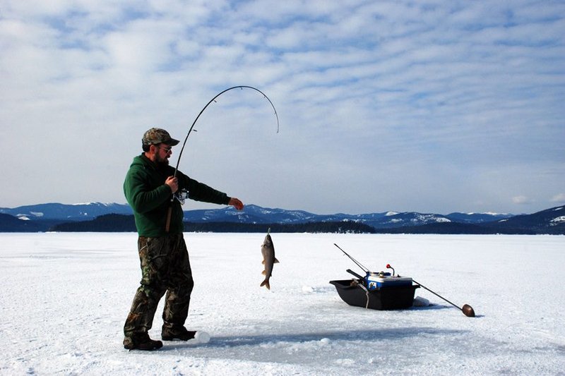 Catch Big Wins in the UK's Thrilling Ice Fishing Live Casino Experience, ice fishing live