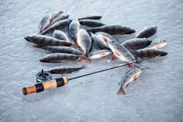 Ice fishing casino - Experience the Thrill of Ice Fishing in the UK's Winter Wonderland Casino
